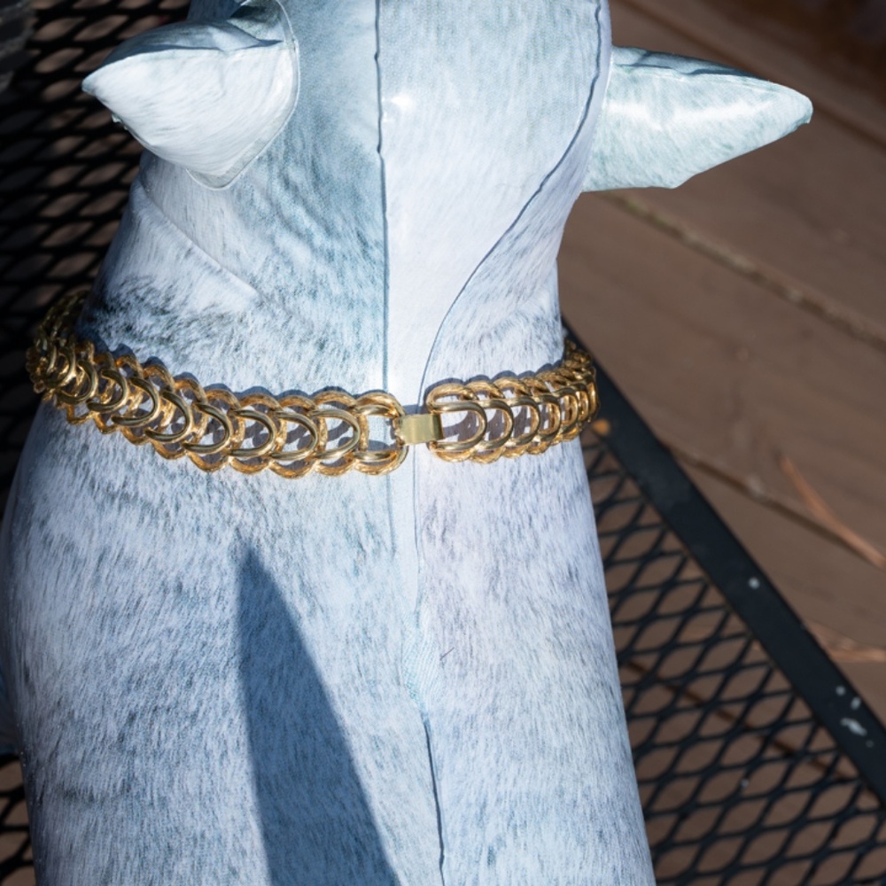 Gold Choker Chain Necklace - Picture 3 of 3